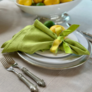 Washed Linen Napkin Set