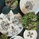 Villa Dinner Plate - New